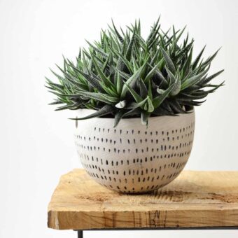 Halbkugelförmiges Gefäß zum Aufstellen oder Aufhängen